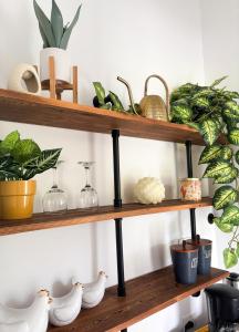 a set of shelves with plants and shoes on them at Suite Palm in Palma