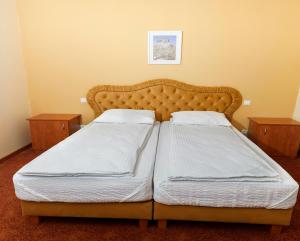 two beds sitting next to each other in a bedroom at Pensiunea Floarea de Colt in Nucşoara