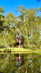 a cabin in the woods next to a lake at MELLOW TREES Lake front studio with sauna in Budgewoi +14 photos