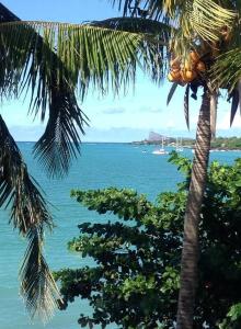 a view of the ocean from between two palm trees at Ven OCEAN VIEW in Grand-Baie
