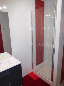 LE TOURISTIC Appartements的一间浴室