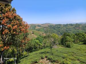 a view of auliculiculiculiculiculiculiculiculiculiculiculic at Leaf mountain view holidays rooms in Vagamon