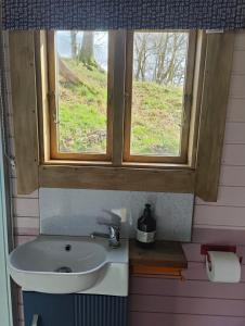 a bathroom with a sink and a window at Tan-y-Dderwen Pod in Machynlleth