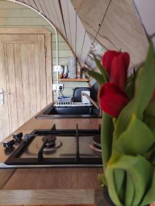 a kitchen with a stove and a red flower at Tan-y-Dderwen Pod in Machynlleth +6 photos