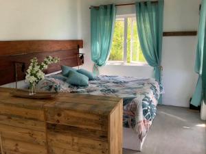 a bedroom with a bed with blue curtains and a window at Studio Ti Lakaz lao in Petit Brûlé