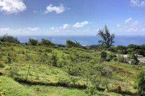 a green hill with the ocean in the background at Studio Ti Lakaz lao in Petit Brûlé