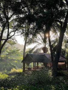 a wooden gazebo in the middle of trees at Bananas Resort & Restaurant in Tha Lane Bay