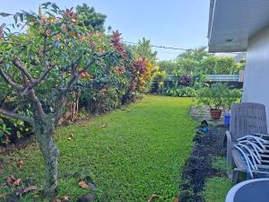 a garden with a small tree and a bench at Maison Tahiti in Paea
