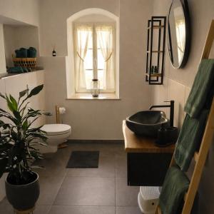 a bathroom with a sink and a toilet and a window at Gutshof 1600 in Hohnstein
