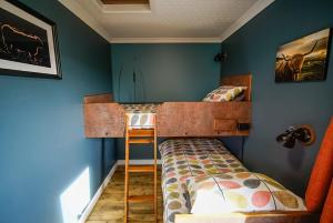 a bedroom with two bunk beds and a blue wall at Burnside Cottage in Wick