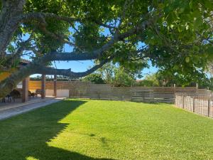 a grassy yard with a fence and a tree at casa frami in Conil de la Frontera