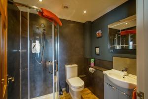 a bathroom with a shower and a toilet and a sink at Burnside Cottage in Wick