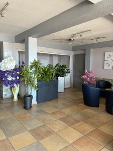 a lobby with potted plants on a tile floor at sol appart hotel in Banyuls-sur-Mer