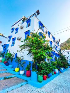 a blue and white building with potted plants in front of it at Dar Yakout in Chefchaouen
