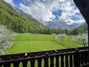 a view of a field with trees and mountains at Domačija Plesnik in Solčava +13 photos