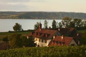 a house on a hill next to a lake at Hotel St Petersinsel in Sankt Petersinsel