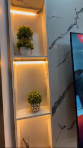 a shelf with two potted plants on it at Luxury Homes in Lagos