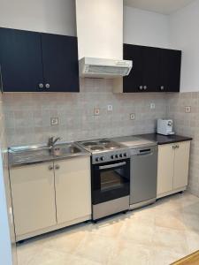 a kitchen with a stove and a sink at Apartman Zlata in Buzdohanj