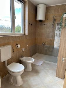 a bathroom with a toilet and a sink and a shower at Apartman Zlata in Buzdohanj +6 photos