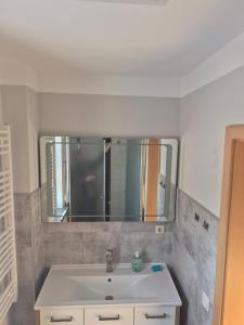 a bathroom with a sink and a large mirror at Alter Kräutergarten in Dabel +11 photos