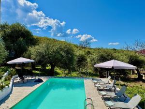 a swimming pool with chairs and umbrellas at Elea Boutique Villa with private pool by DadoVillas in Acharavi