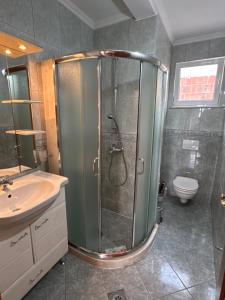 a bathroom with a shower and a sink and a toilet at Villa Mane in Donji Štoj