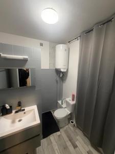 a bathroom with a toilet and a sink and a shower at Robert in Verdun-sur-Meuse