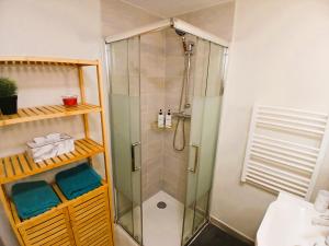 a shower in a bathroom with a glass shower stall at L Oasis Cosy Sauna Privé et Jardin in Bouguenais