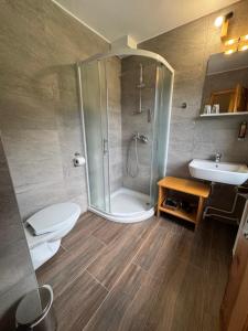 a bathroom with a shower and a toilet and a sink at Domačija Plesnik in Solčava