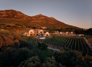 a village with a bunch of vineyards and a mountain at The Alexander Estate in Noordhoek +58 photos