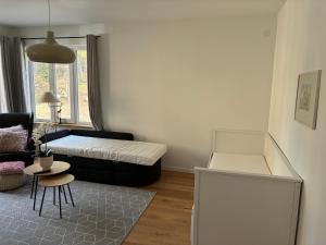 a living room with a bed and a couch at Rudbecksgatan BB in Eskilstuna