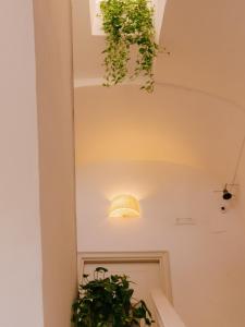 a ceiling light and a potted plant in a hallway at Unconventional Sorrento Coast in Sant'Agnello