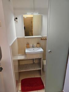 a bathroom with a sink and a mirror at Čebelja Zibka in Ljubljana