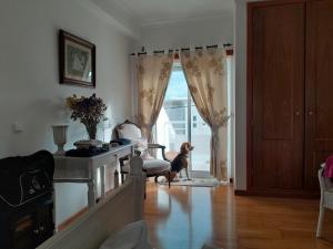 a dog standing in a living room looking out the door at Villa Thierry in Leiria