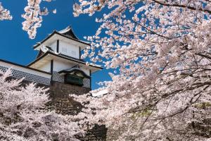 a building withakura trees in front of it at Stacy Annex in Kanazawa