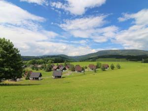 a large field of green grass with houses in the distance at Chata Křemenka in Lauterwasser
