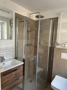 a bathroom with a shower and a sink at Brockmann, Ferienidylle in Neuenkirchen