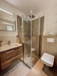 a bathroom with a shower and a toilet and a sink at Brockmann, Ferienidylle in Neuenkirchen