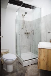 a bathroom with a shower with a toilet and a sink at VALLIS sobe in Požega +24 photos