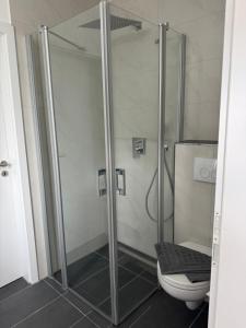 a bathroom with a glass shower with a toilet at Lütte Lina in Neuenkirchen +6 photos