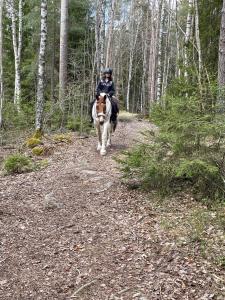a person riding a horse on a trail in the woods at Annehill i Bro in Bro