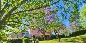 a tree with pink flowers in front of a house at Domaine du Cardou in Puy-lʼÉvêque +29 photos