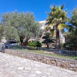 a fence with a palm tree in front of a building at Suntime villa Laguna in Bigova