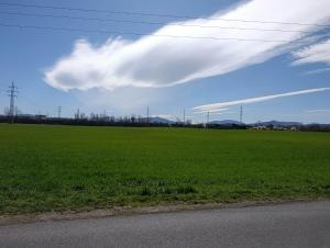 a field of green grass next to a road at Dům u Skašků - Žabeň in Žabeň