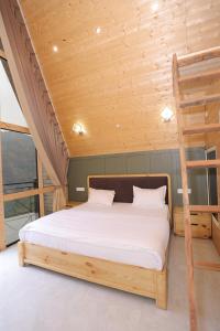 a bedroom with a bunk bed and a ladder at Alpine Vista Wellness & Resort in Gupta Kāshi