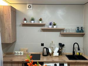 a kitchen with wooden counters and shelves with plants at Korkyt in Qyzylorda