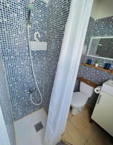 a bathroom with a shower with a toilet and a sink at apartamento el camarote in Fasnia