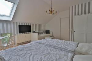 a bedroom with a bed and a television and a chandelier at Herrenhaus Blengow App.15 in Blengow