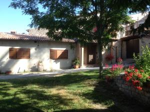 a white house with a tree in the yard at Sotto L'Arco in Barete