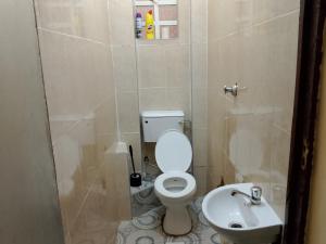a bathroom with a toilet and a sink at Mwembe Airbnbs in Kisii
